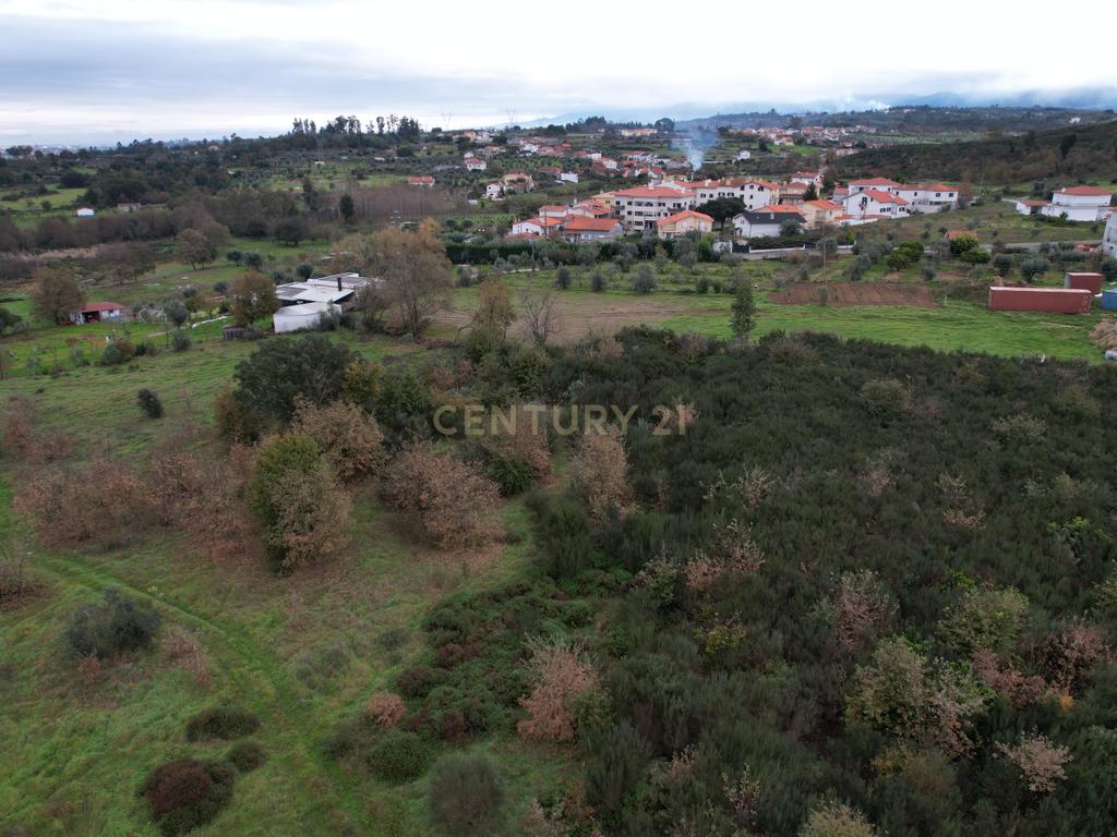 Quinta em Oliveira do Hospital, com 60000 m2 com casas para recuperar. - Image 23