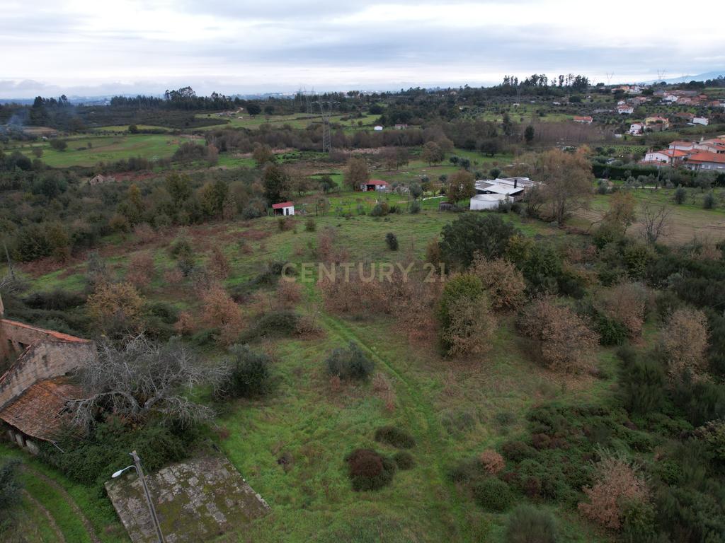 Quinta em Oliveira do Hospital, com 60000 m2 com casas para recuperar. - Image 24