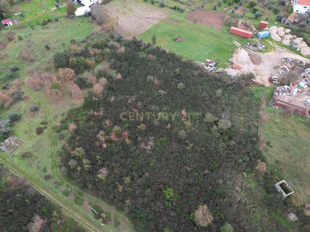 Quinta em Oliveira do Hospital, com 60000 m2 com casas para recuperar. - Image 29