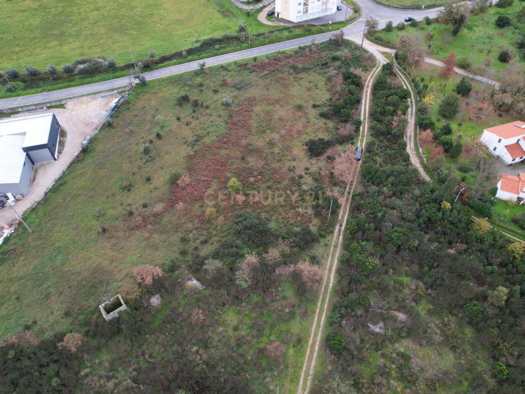 Quinta em Oliveira do Hospital, com 60000 m2 com casas para recuperar. - Image 30