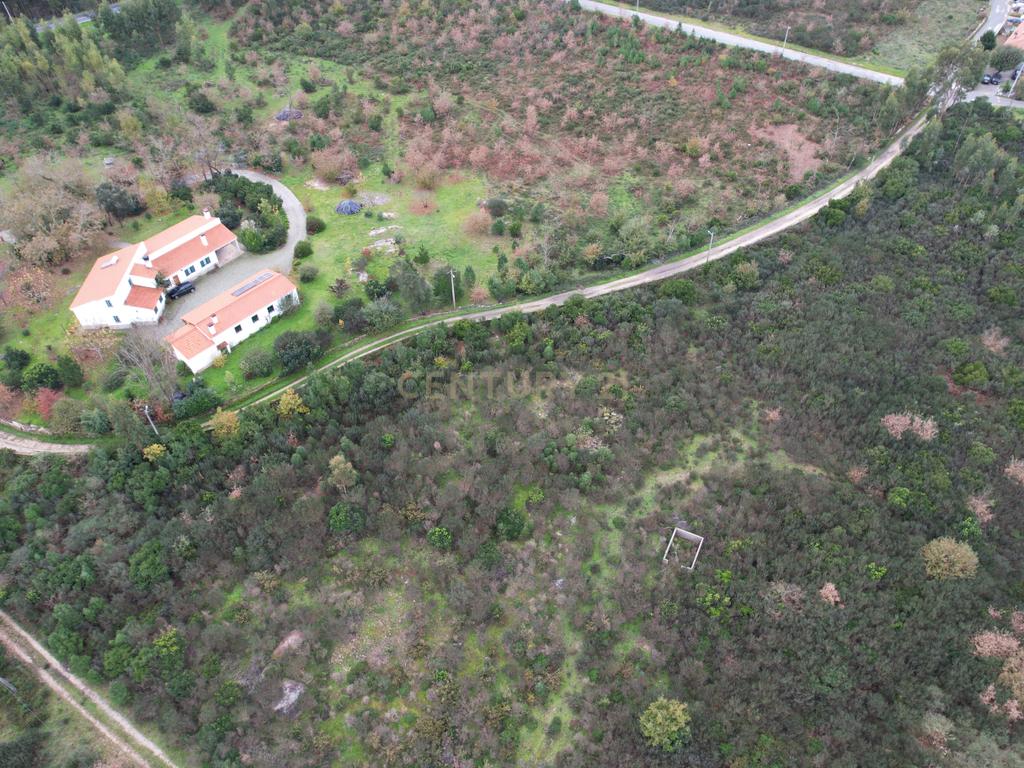 Quinta em Oliveira do Hospital, com 60000 m2 com casas para recuperar. - Image 32