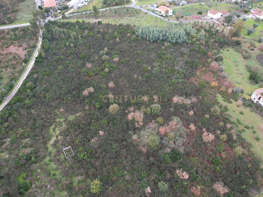Quinta em Oliveira do Hospital, com 60000 m2 com casas para recuperar. - Image 34