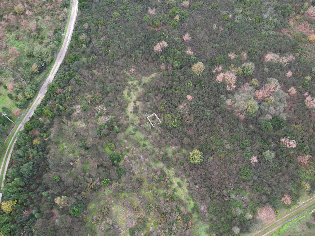 Quinta em Oliveira do Hospital, com 60000 m2 com casas para recuperar. - Image 35