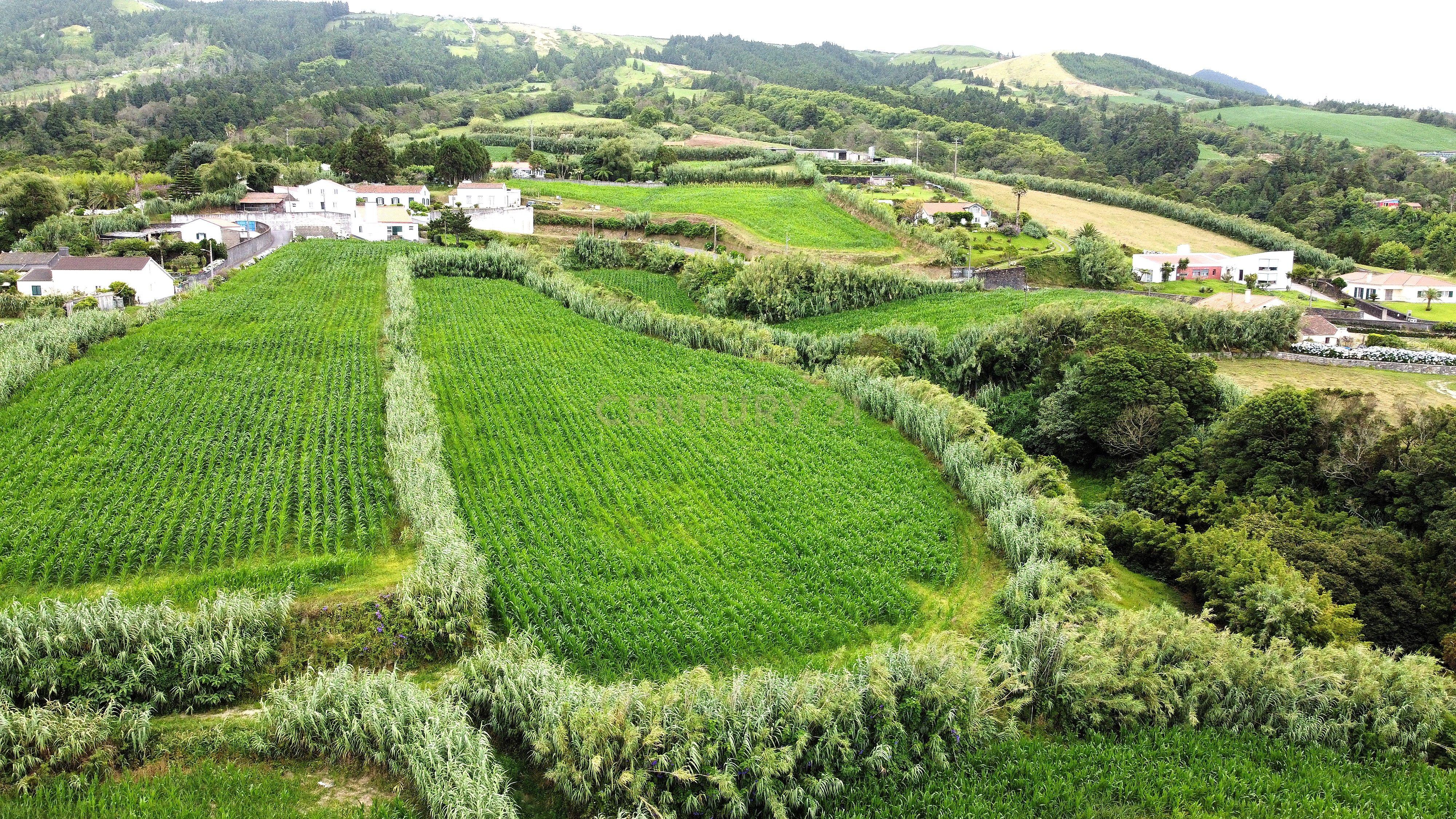 Terreno com Viabilidade de Construção, nos Ginetes - Image 1