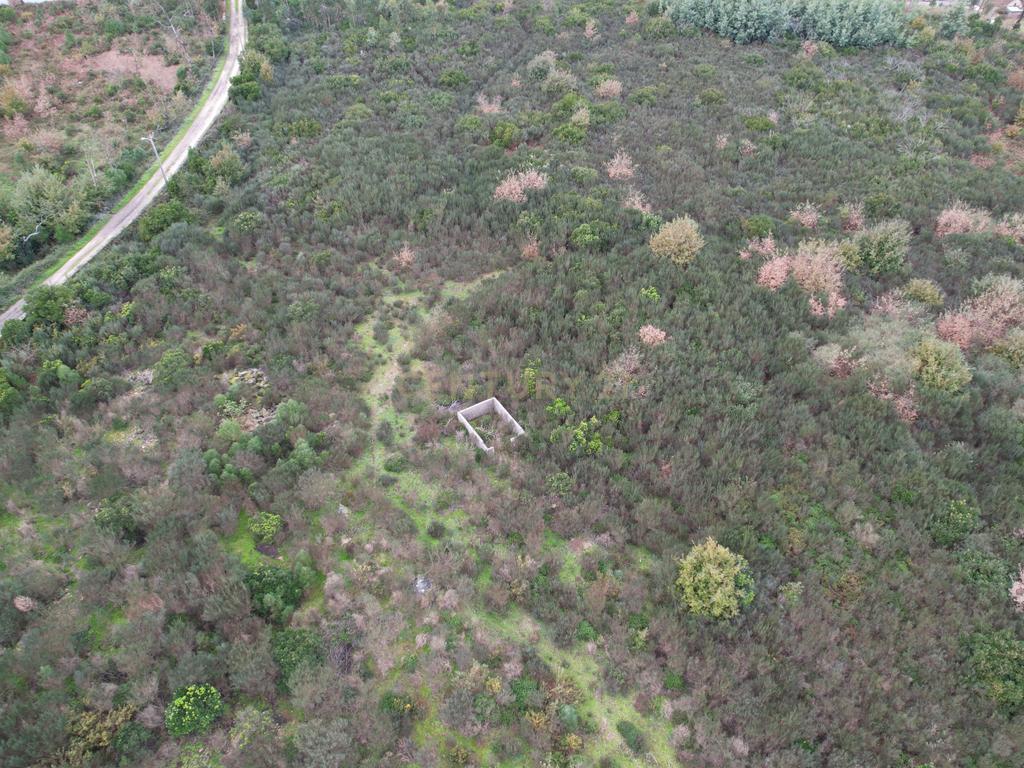 Quinta em Oliveira do Hospital, com 60000 m2 com casas para recuperar. - Image 36