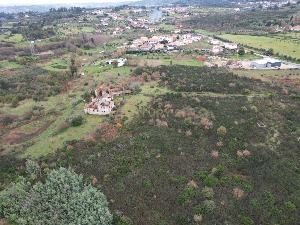 Quinta em Oliveira do Hospital, com 60000 m2 com casas para recuperar. - Image 38