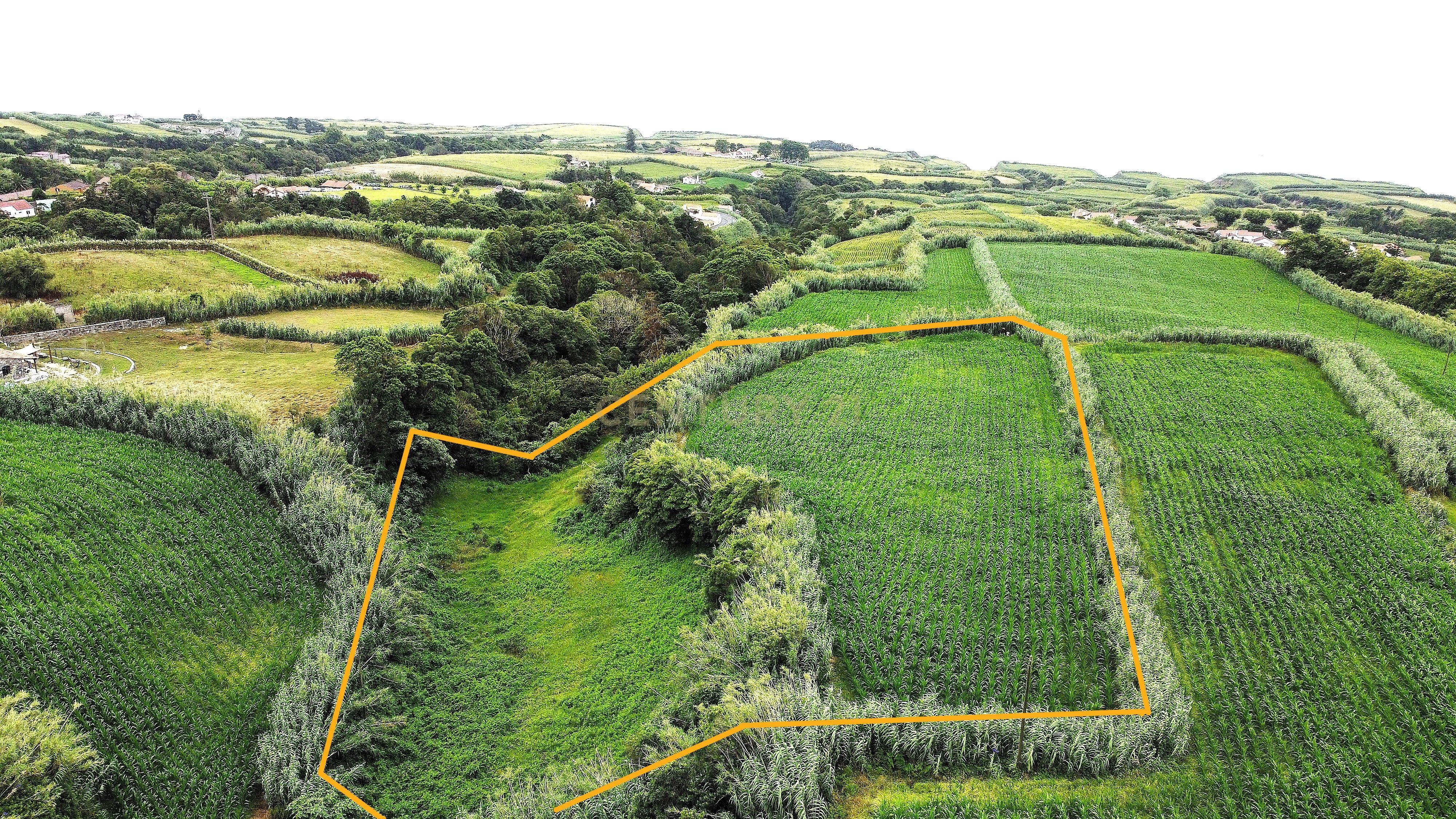 Terreno com Viabilidade de Construção, nos Ginetes - Image 3