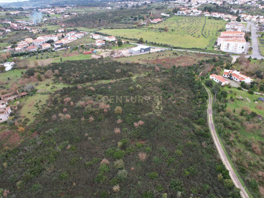 Quinta em Oliveira do Hospital, com 60000 m2 com casas para recuperar. - Image 39