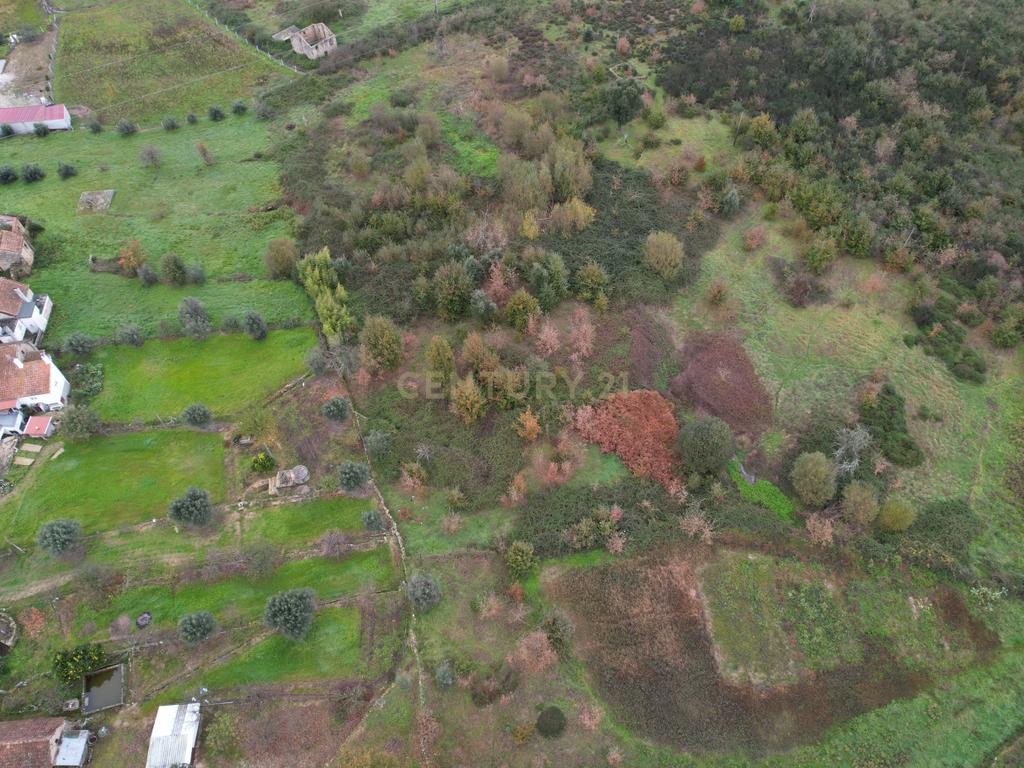 Quinta em Oliveira do Hospital, com 60000 m2 com casas para recuperar. - Image 42