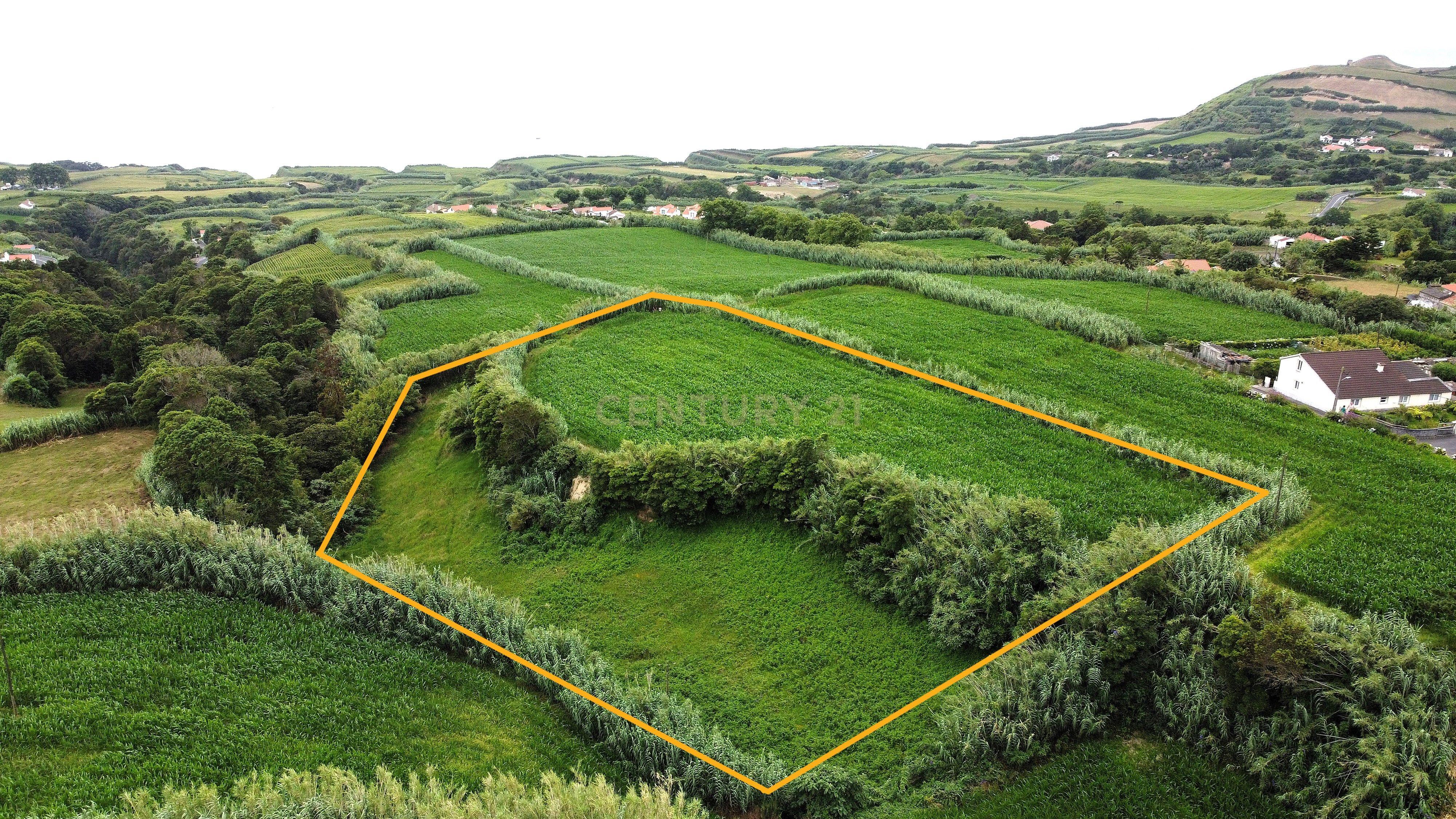 Terreno com Viabilidade de Construção, nos Ginetes - Image 2