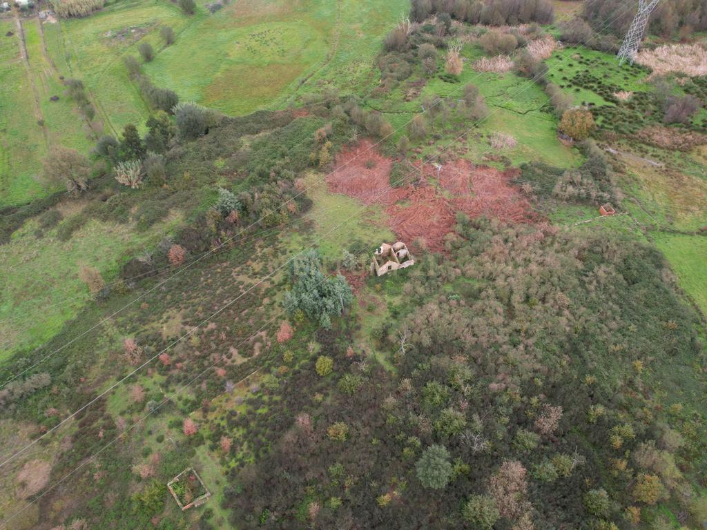 Quinta em Oliveira do Hospital, com 60000 m2 com casas para recuperar. - Image 43