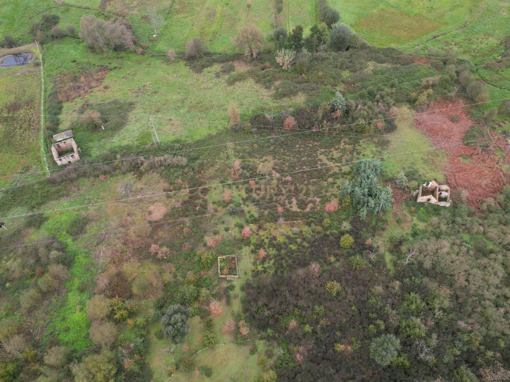 Quinta em Oliveira do Hospital, com 60000 m2 com casas para recuperar. - Image 44