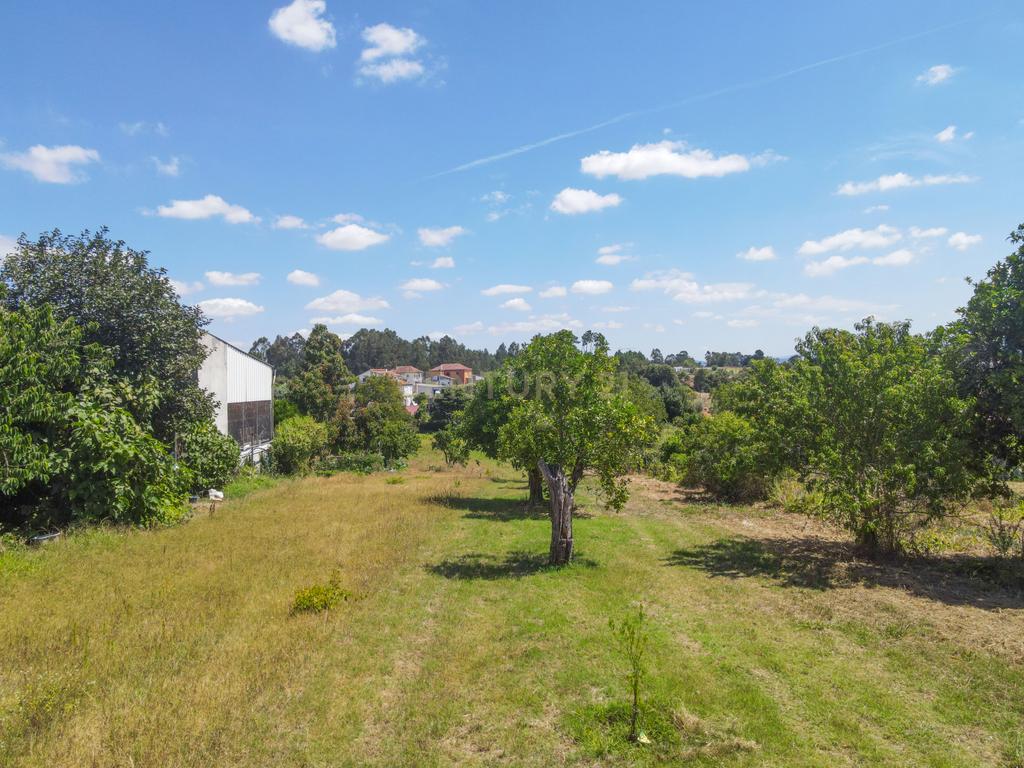 Moradia para Reconstrução em Vila Verde, Coimbra - Image 18