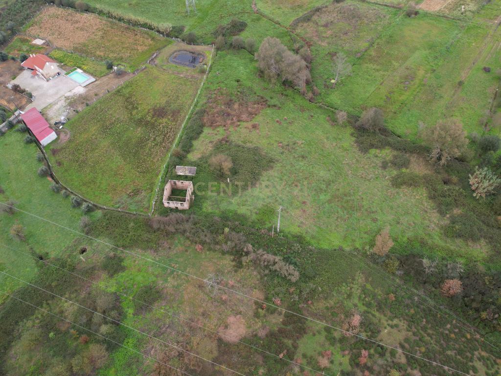 Quinta em Oliveira do Hospital, com 60000 m2 com casas para recuperar. - Image 45
