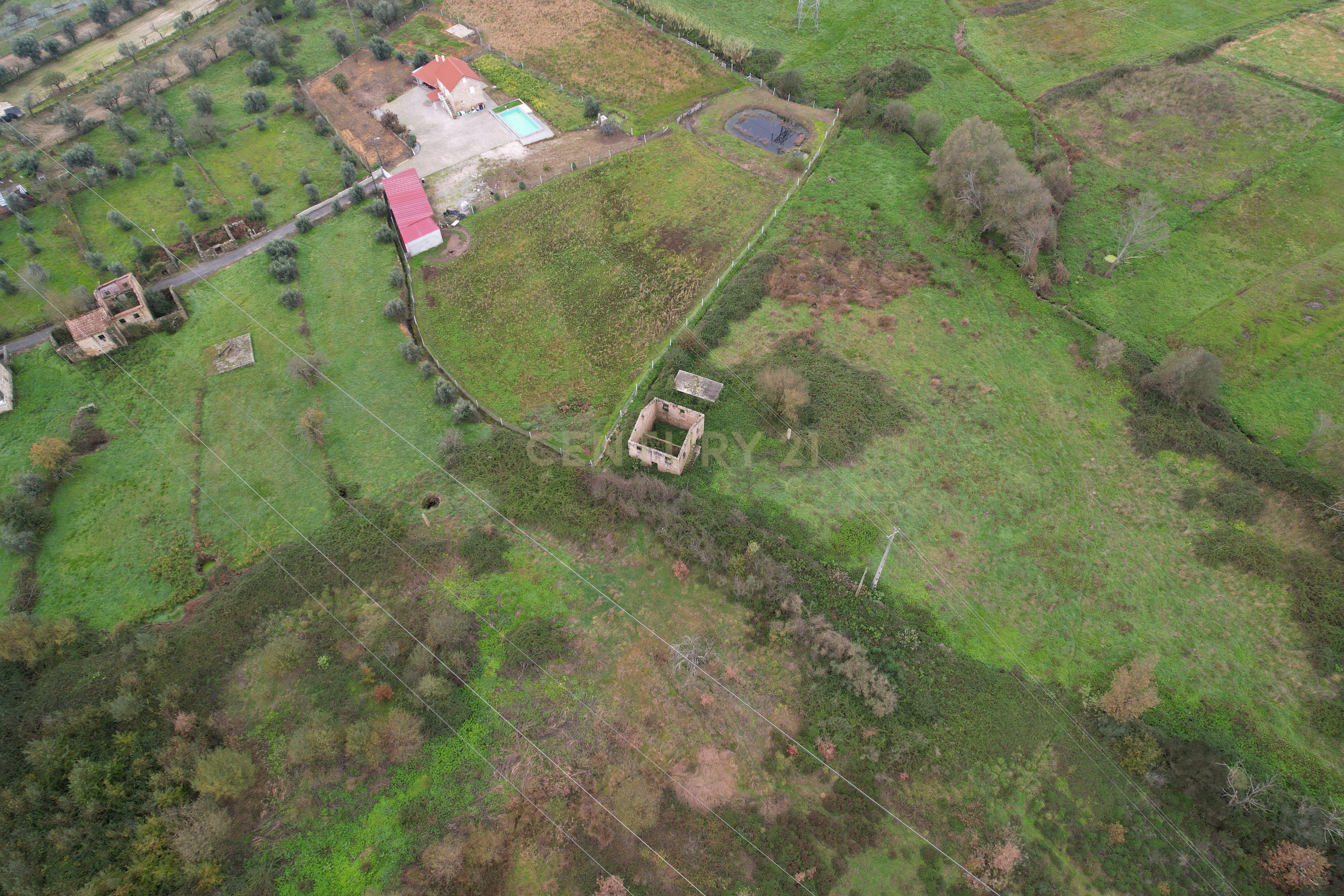 Quinta em Oliveira do Hospital, com 60000 m2 com casas para recuperar. - Image 47