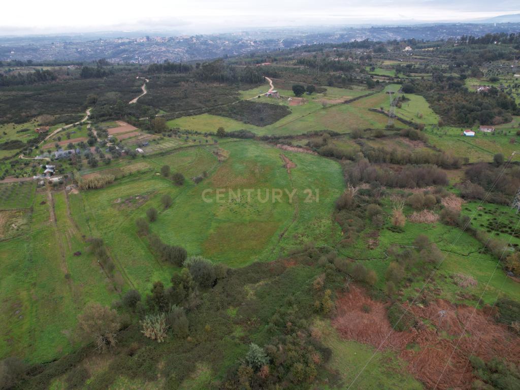 Quinta em Oliveira do Hospital, com 60000 m2 com casas para recuperar. - Image 49