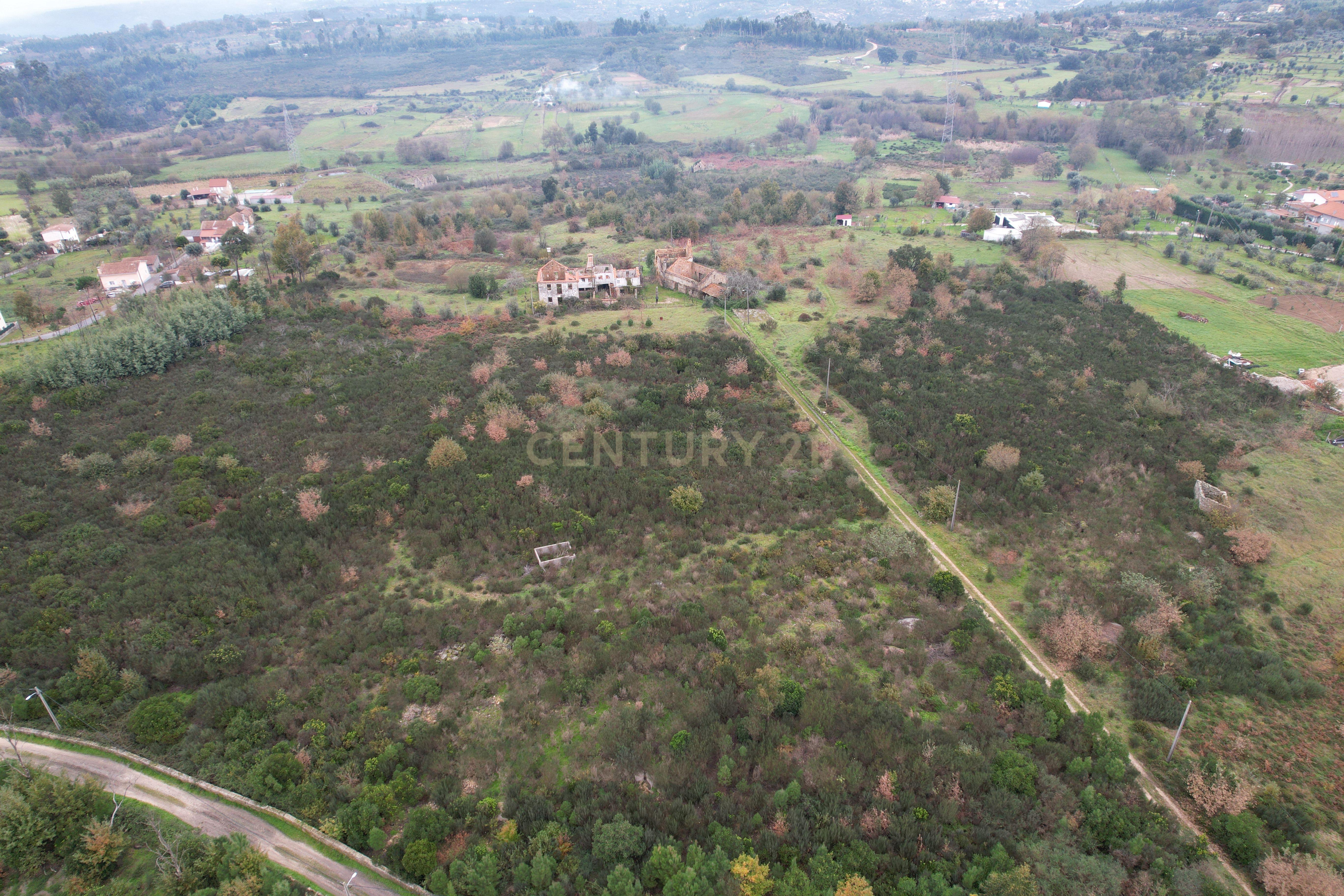Quinta em Oliveira do Hospital, com 60000 m2 com casas para recuperar. - Image 55