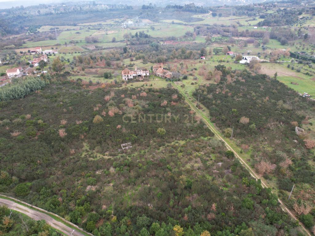 Quinta em Oliveira do Hospital, com 60000 m2 com casas para recuperar. - Image 55