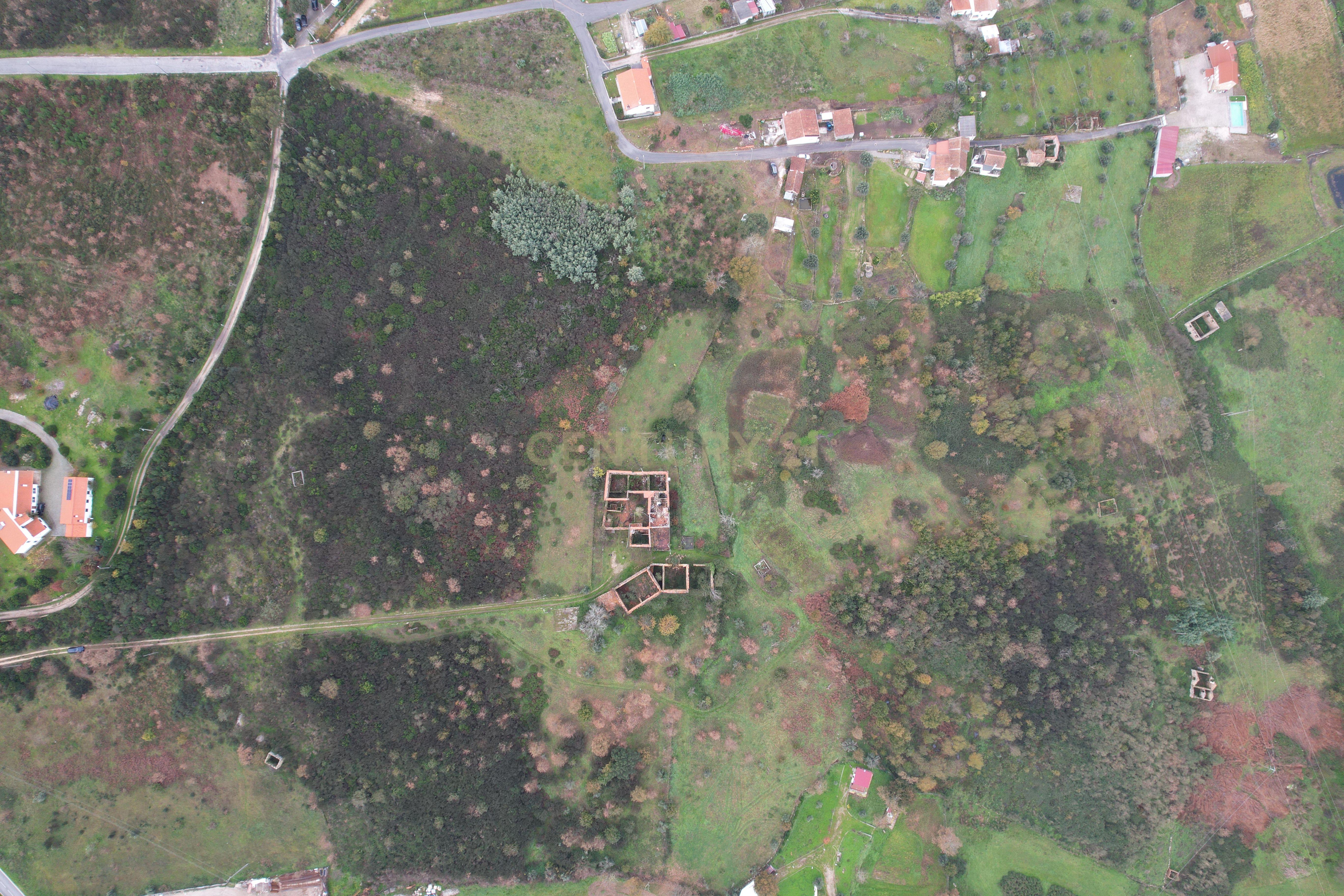 Quinta em Oliveira do Hospital, com 60000 m2 com casas para recuperar. - Image 61