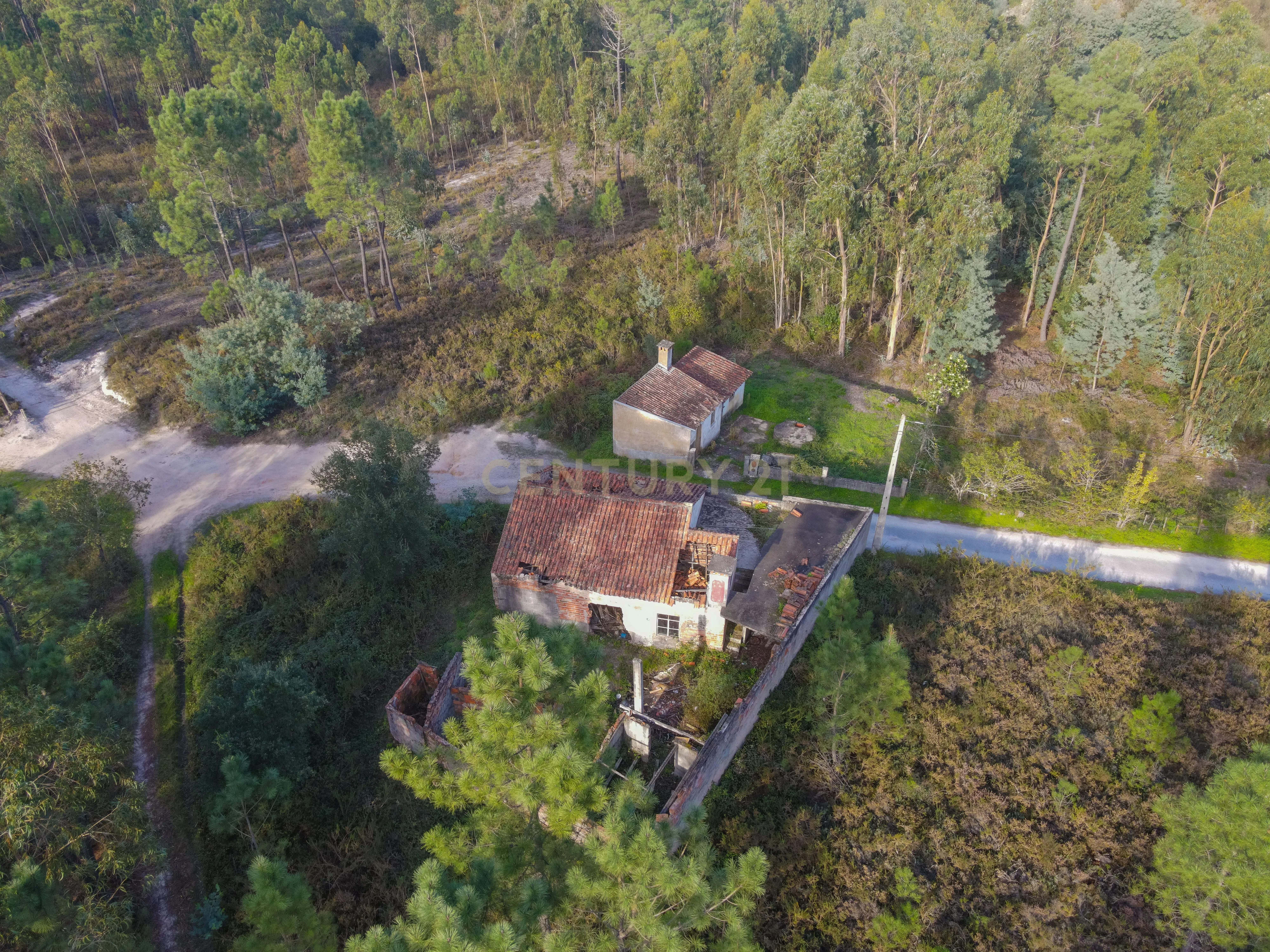 Moradia para reconstruir - Image 6
