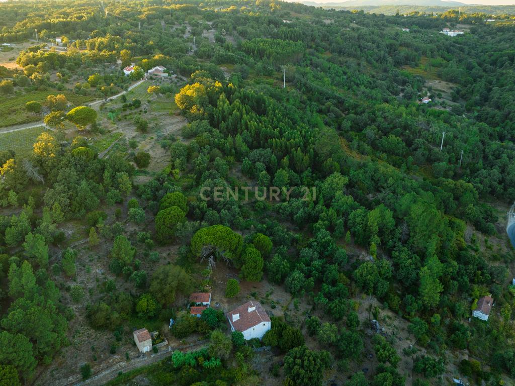 QUINTA T5 - REGUENGO - PORTALEGRE - Image 47