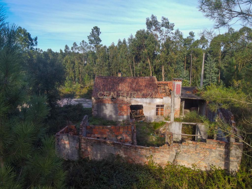 Moradia para reconstruir - Image 4