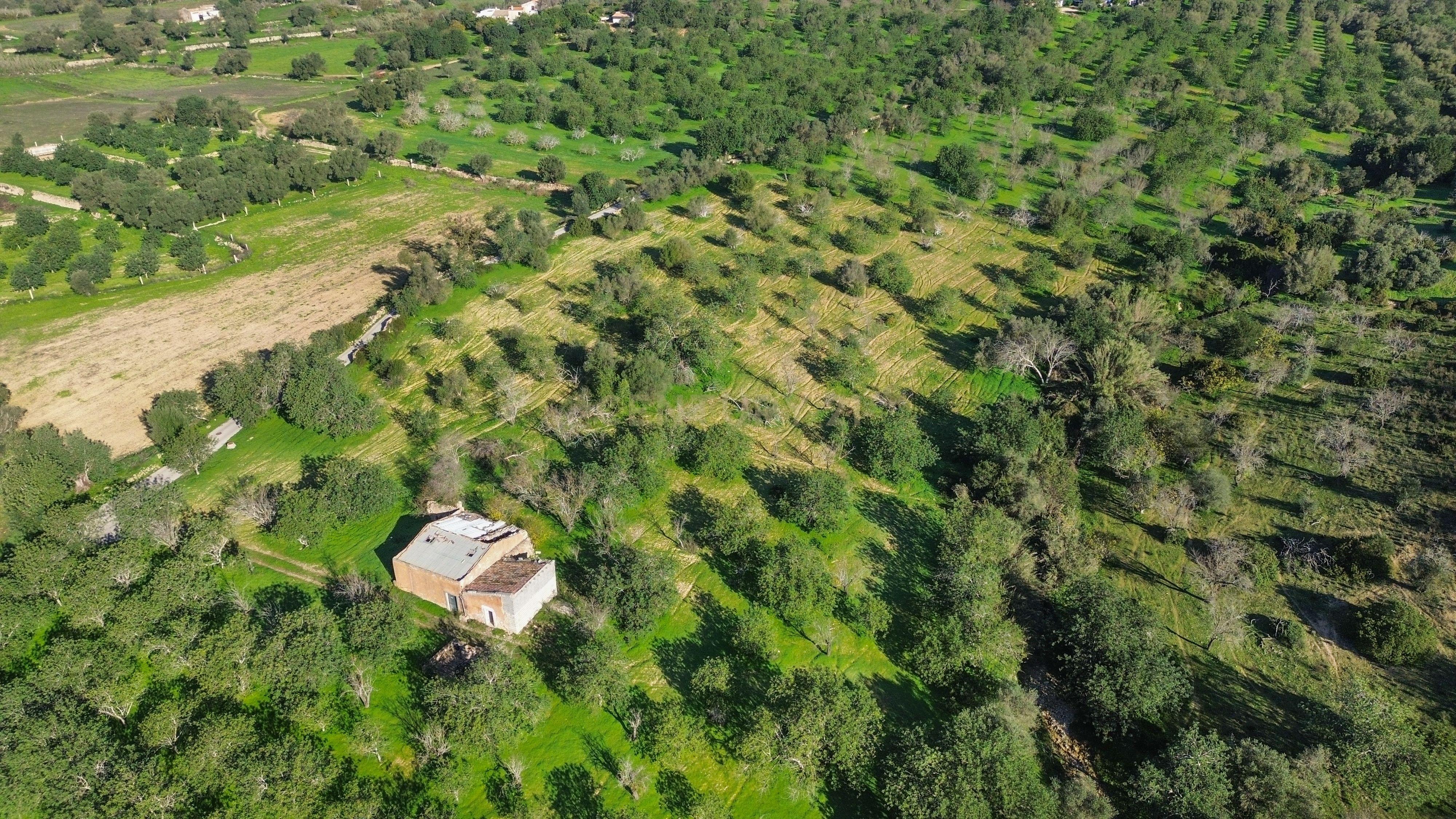 Terreno Urbano em Vale - Loulé - Image 1