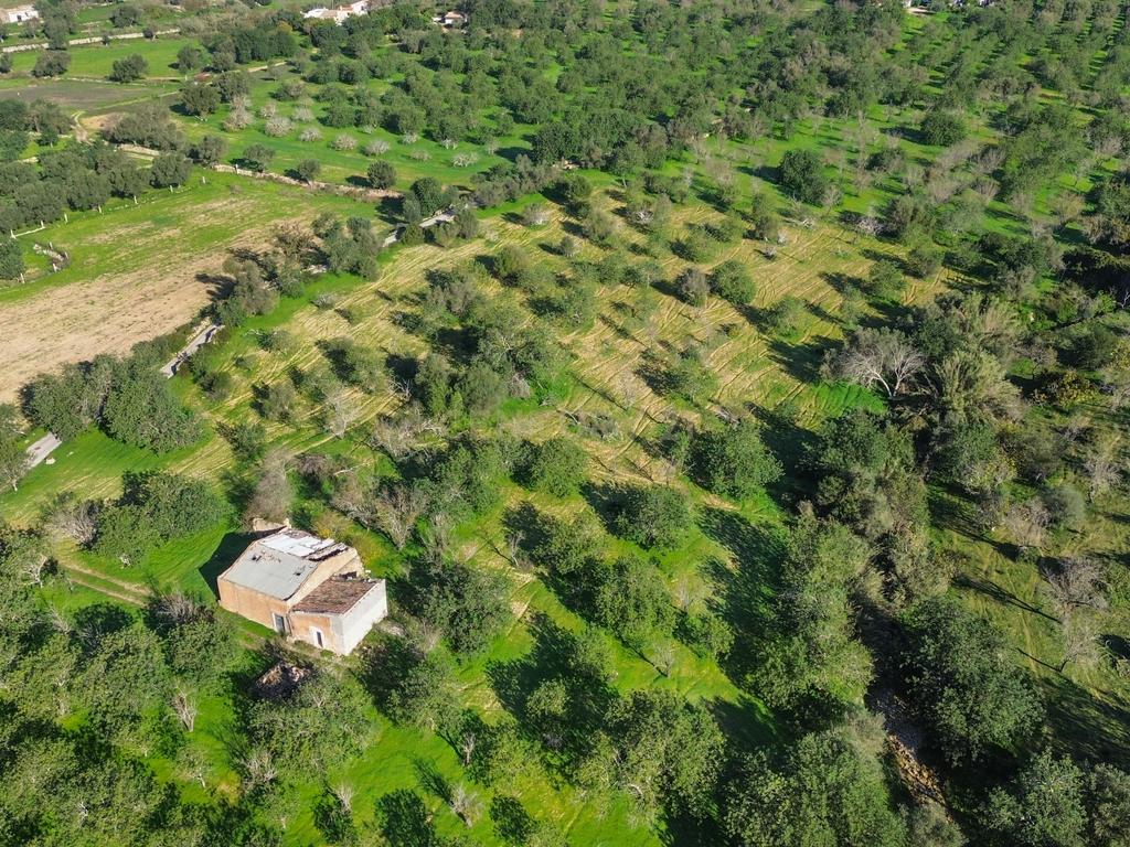 Terreno Urbano em Vale - Loulé - Image 1