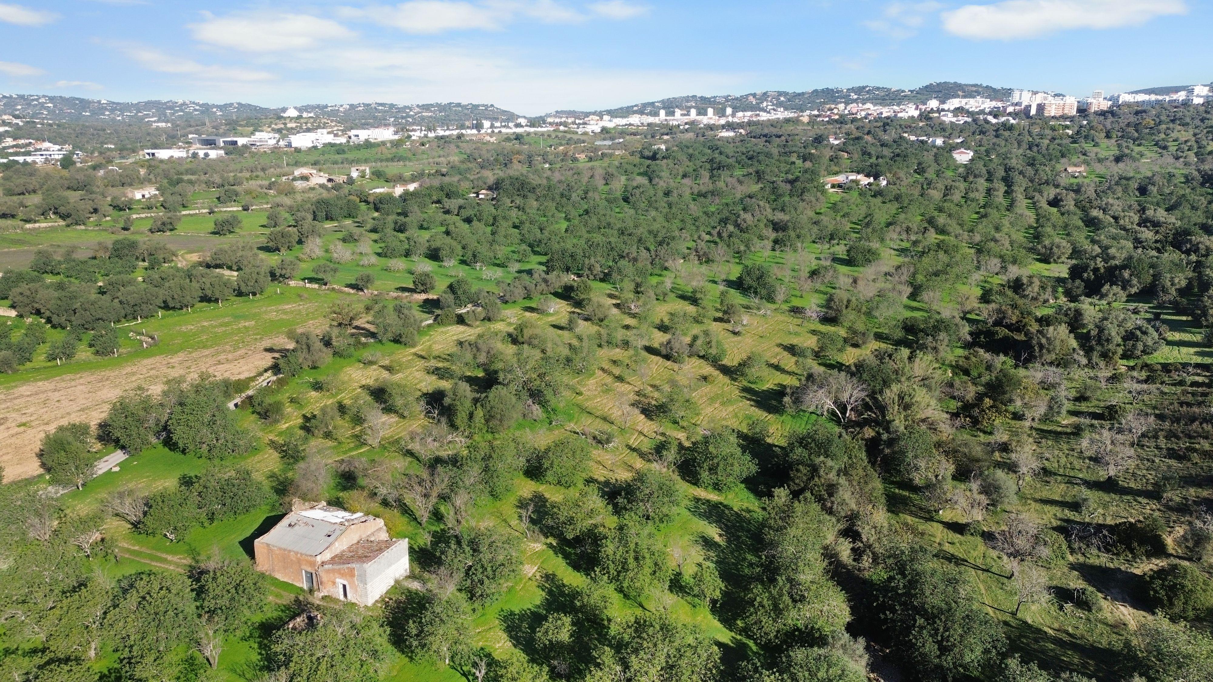 Terreno Urbano em Vale - Loulé - Image 6