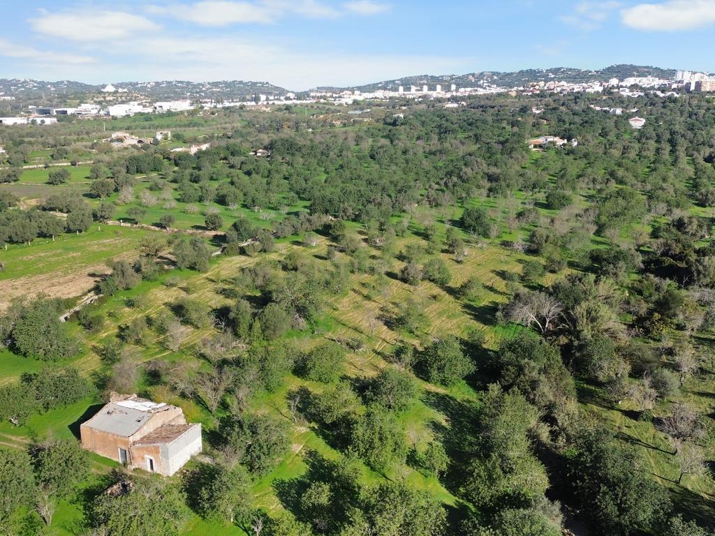 Terreno Urbano em Vale - Loulé - Image 6