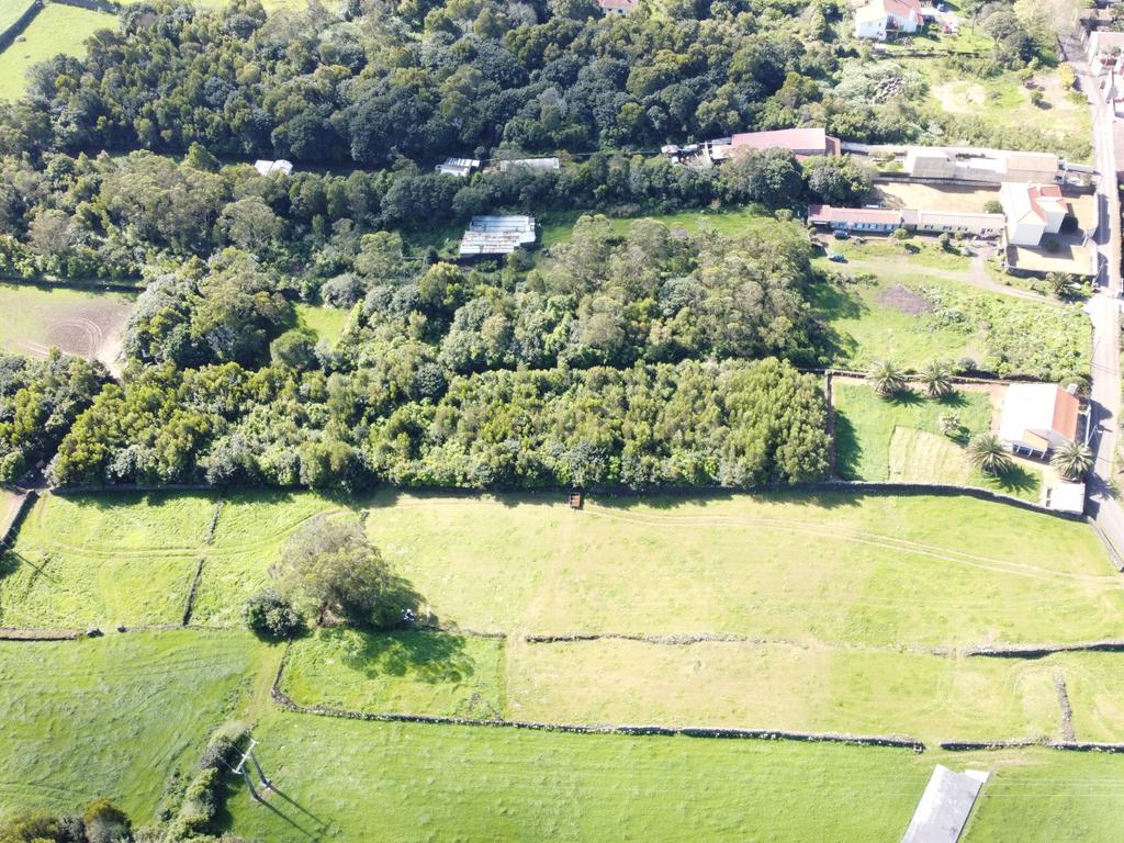 Terreno Urbanizável em Estrada da Ribeira Grande - Image 6