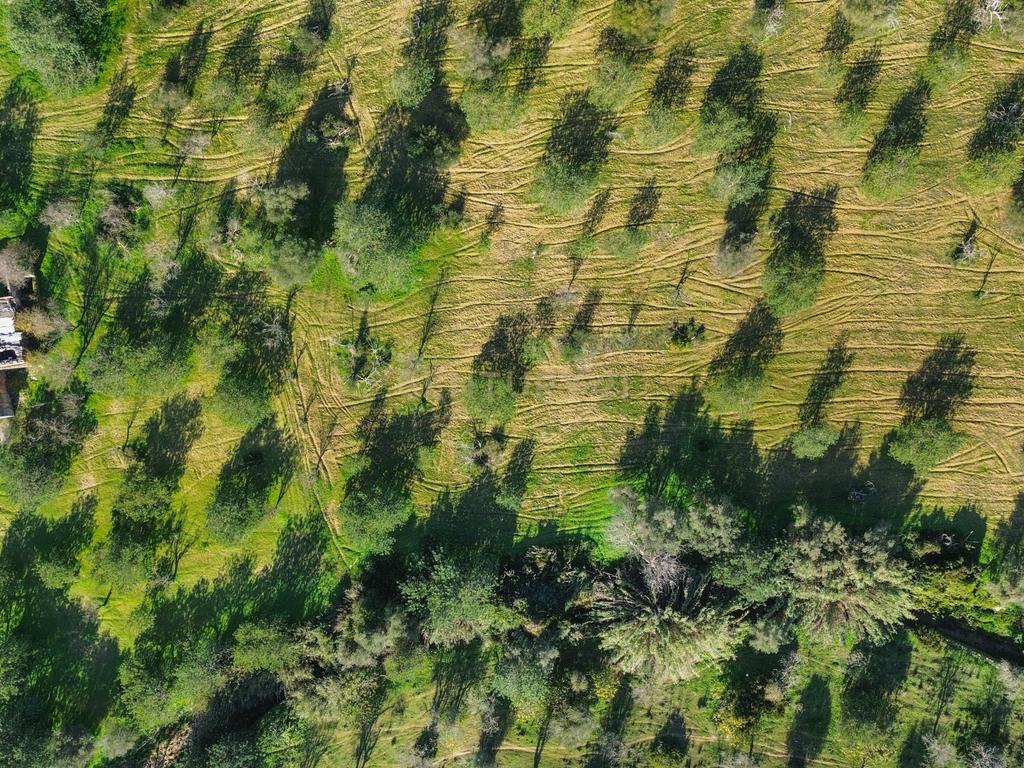 Terreno Urbano em Vale - Loulé - Image 8