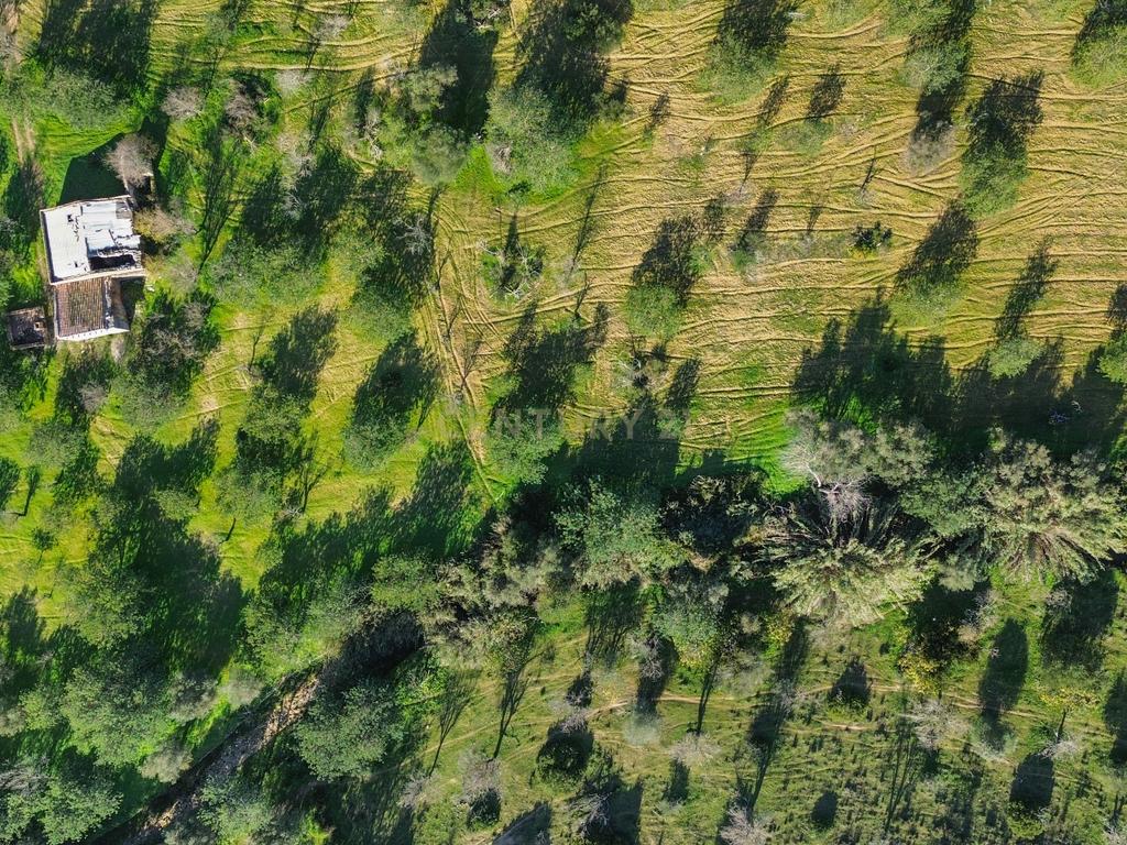 Terreno Urbano em Vale - Loulé - Image 2