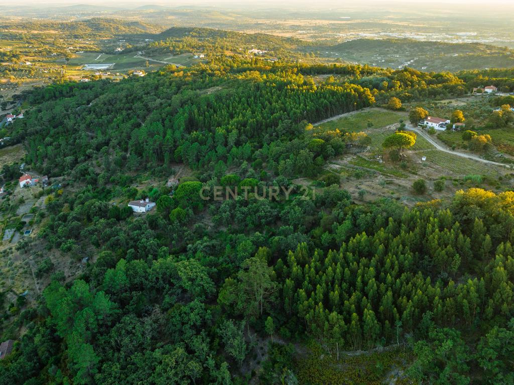 QUINTA T5 - REGUENGO - PORTALEGRE - Image 43