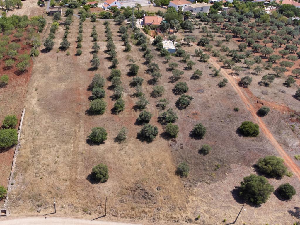 Moradia com terreno rústico em Benafim, para renovar - Image 23