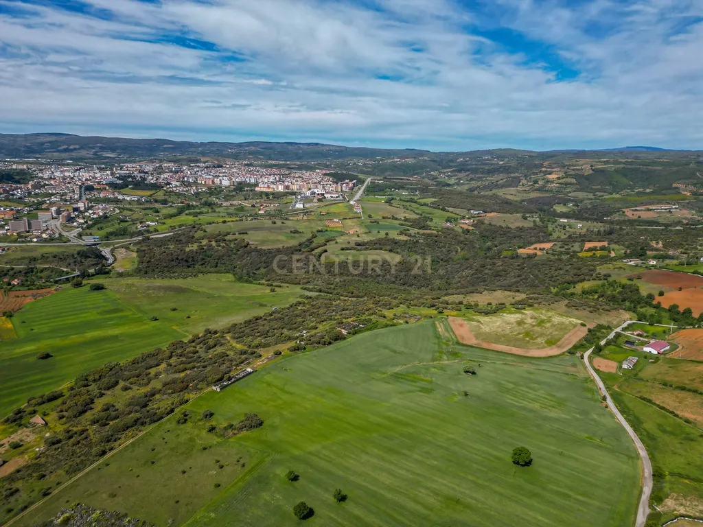 Quinta Nova - Solo industrial e agrícola a 5m do aeródromo - Image 18