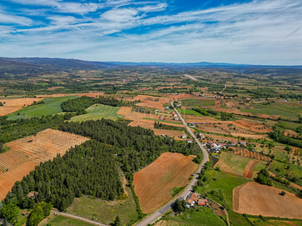 Quinta Nova - Solo industrial e agrícola a 5m do aeródromo - Image 19