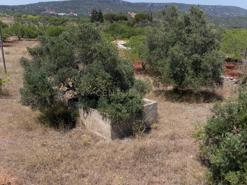 Moradia com terreno rústico em Benafim, para renovar - Image 19