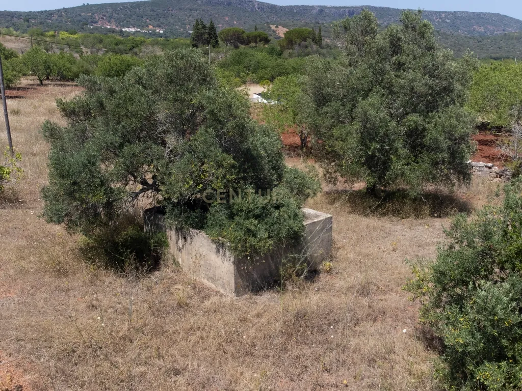 Moradia com terreno rústico em Benafim, para renovar - Image 19