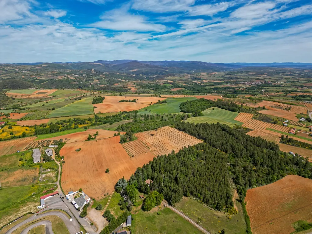 Quinta Nova - Solo industrial e agrícola a 5m do aeródromo - Image 16