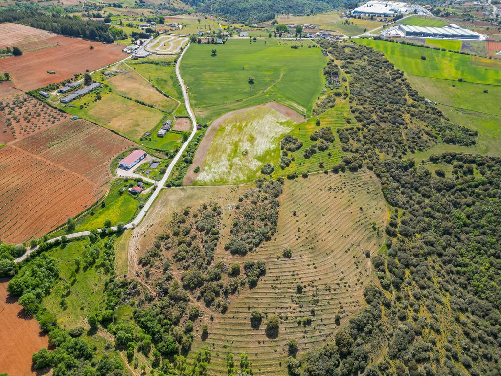 Quinta Nova - Solo industrial e agrícola a 5m do aeródromo - Image 3
