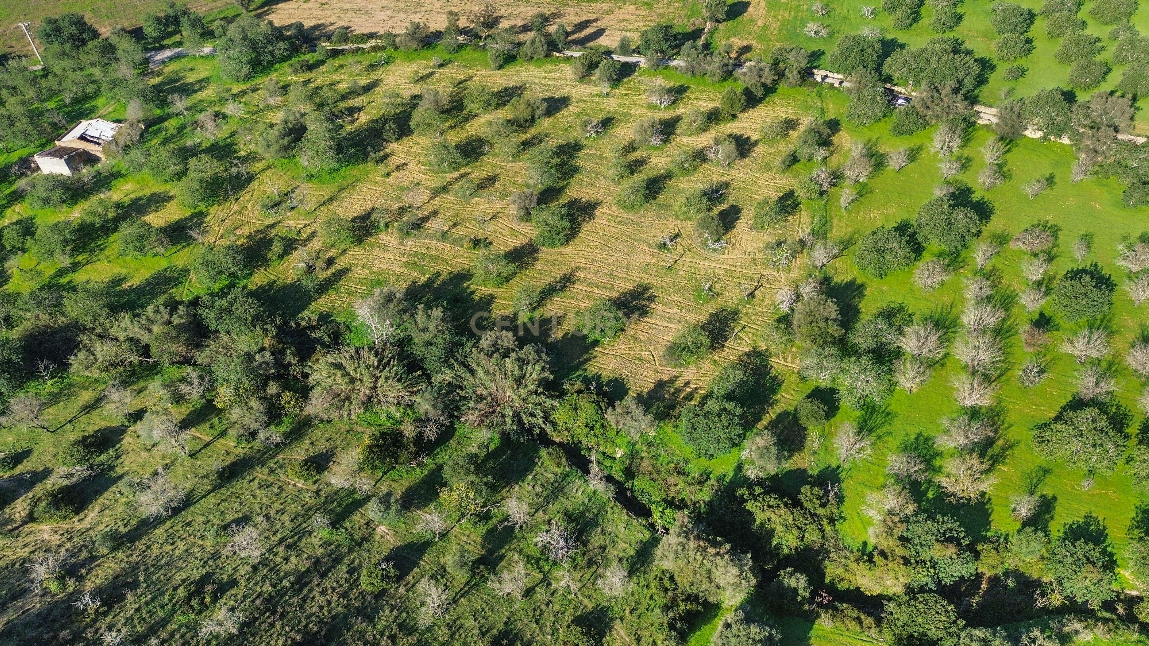 Terreno Urbano em Vale - Loulé - Image 7