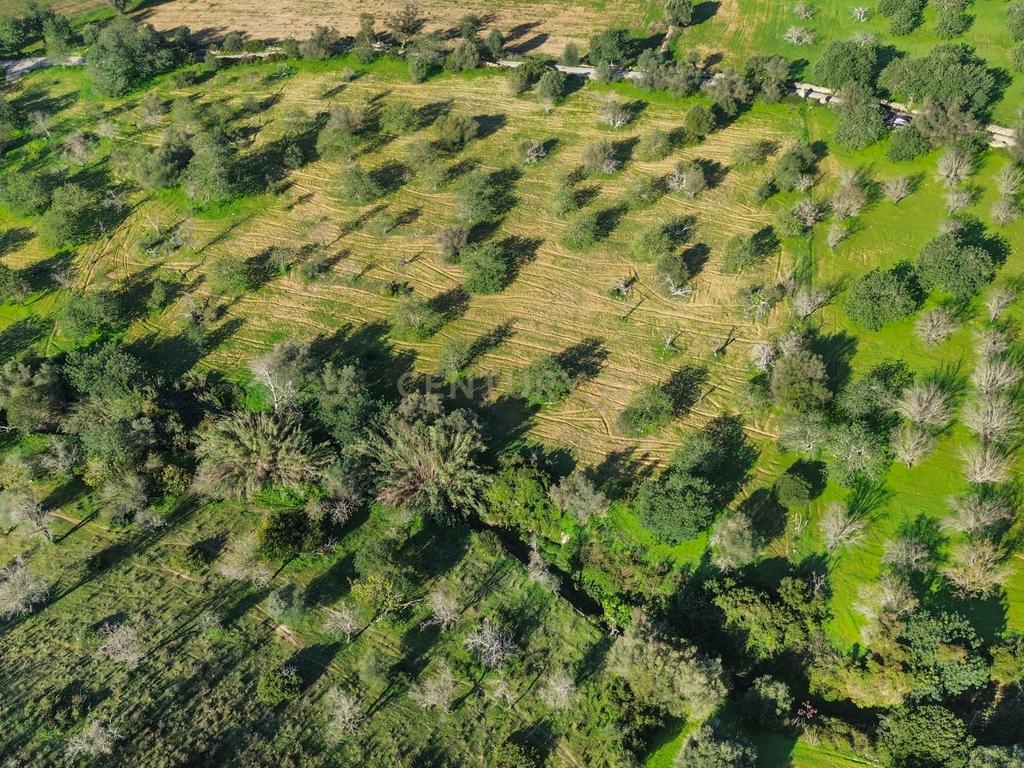 Terreno Urbano em Vale - Loulé - Image 7