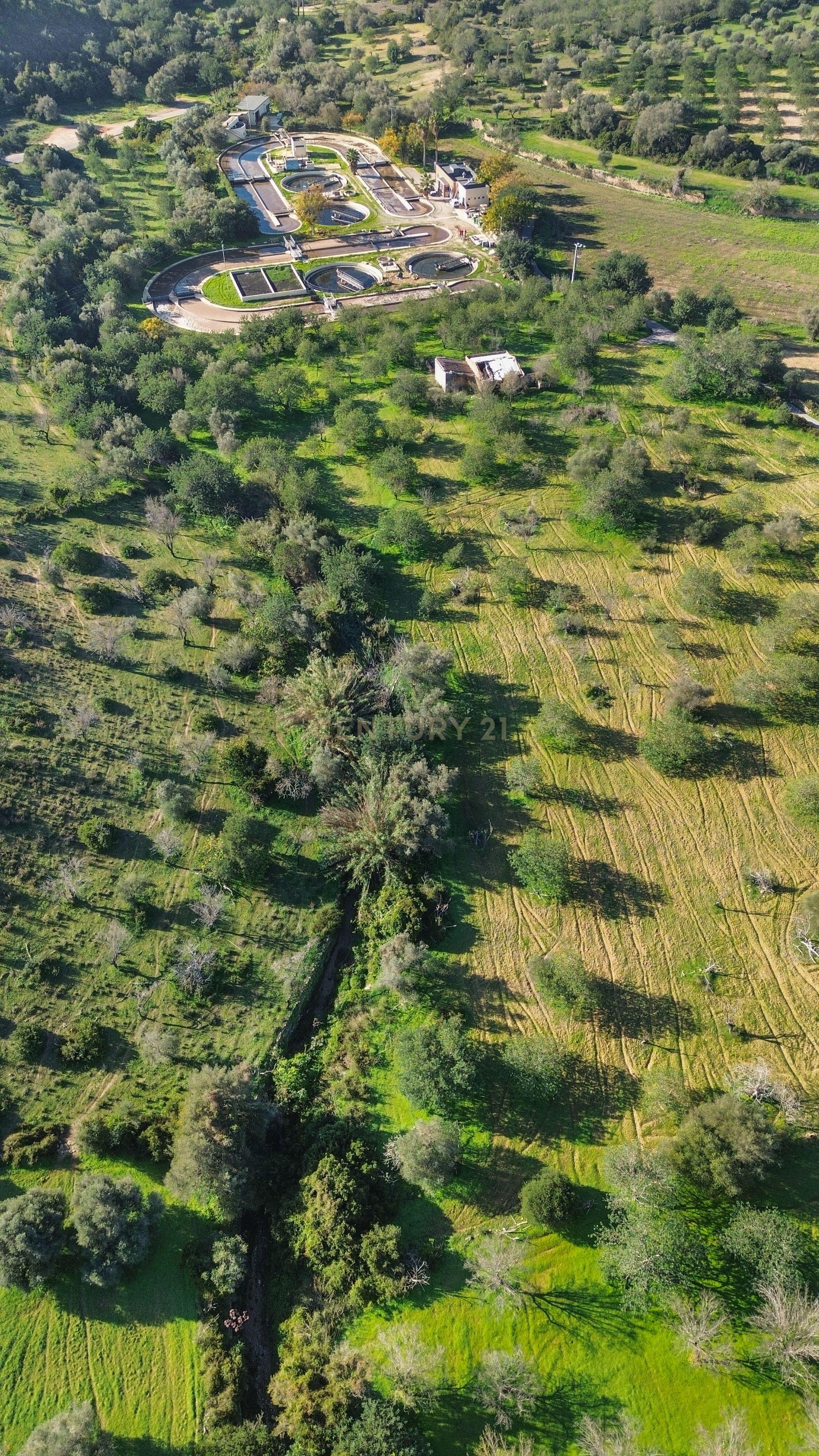 Terreno Urbano em Vale - Loulé - Image 5