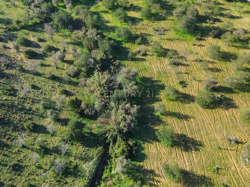 Terreno Urbano em Vale - Loulé - Image 5