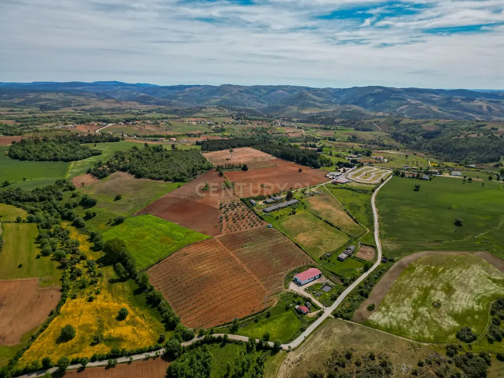 Quinta Nova - Solo industrial e agrícola a 5m do aeródromo - Image 5