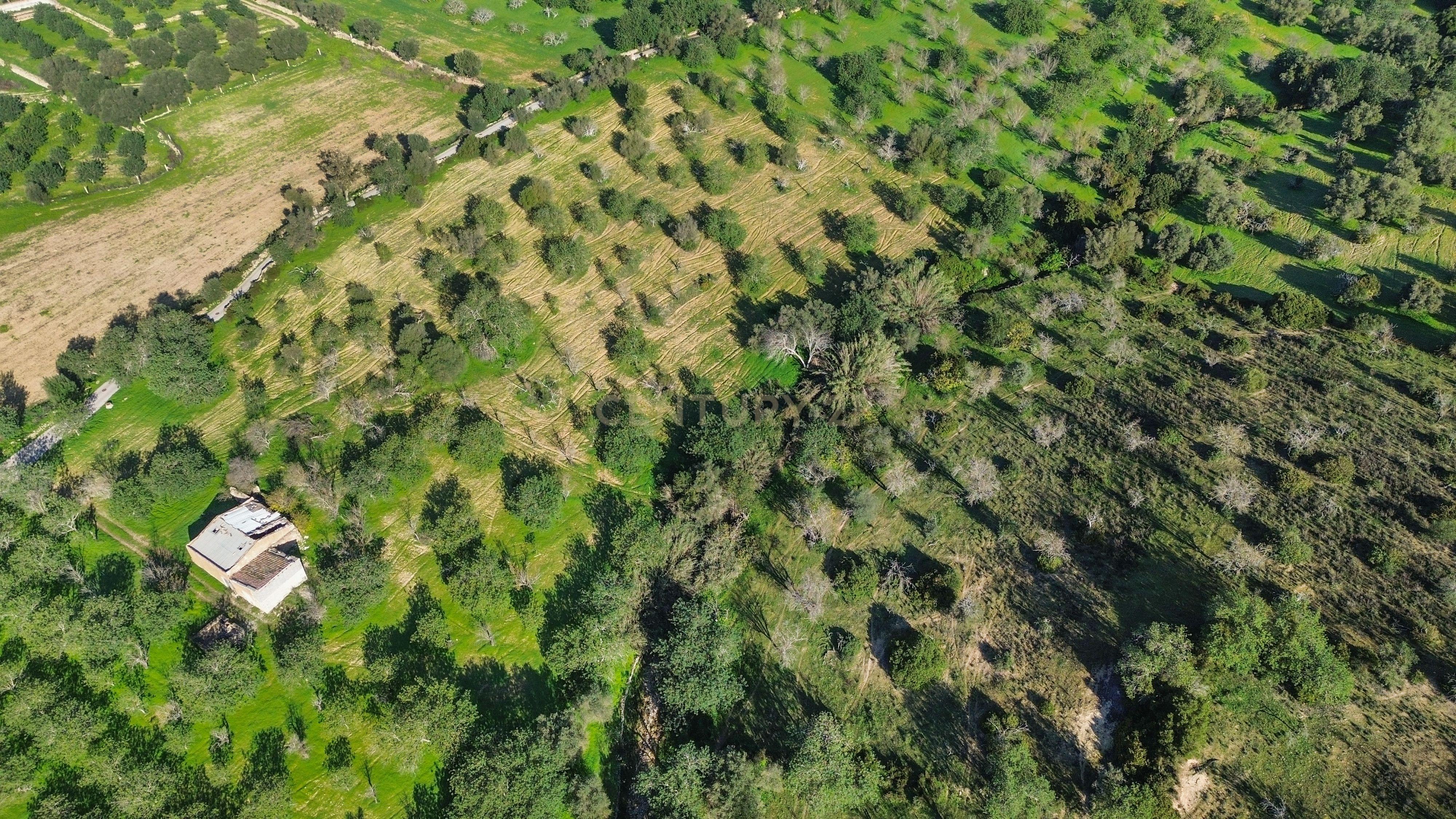 Terreno Urbano em Vale - Loulé - Image 3