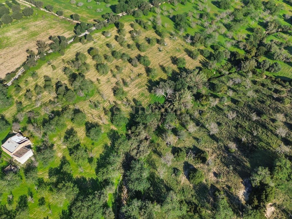 Terreno Urbano em Vale - Loulé - Image 3