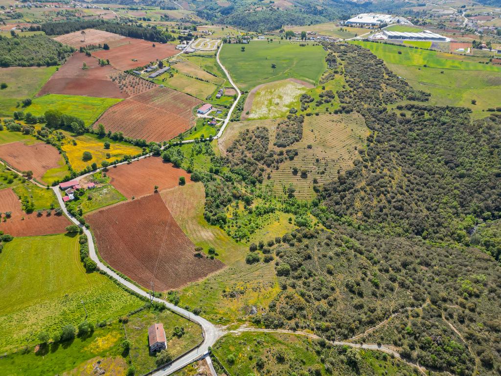 Quinta Nova - Solo industrial e agrícola a 5m do aeródromo - Image 6