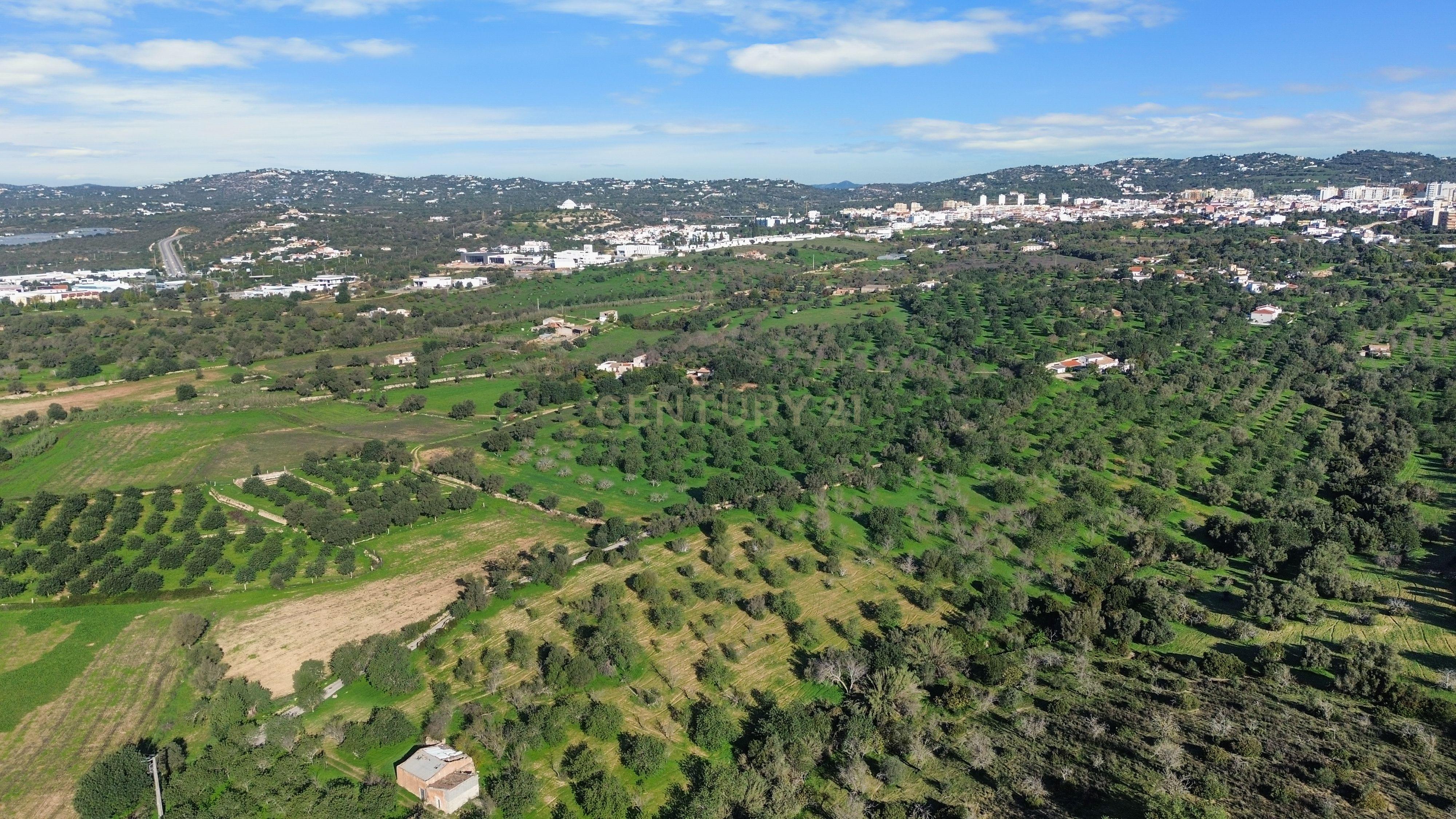 Terreno Urbano em Vale - Loulé - Image 4